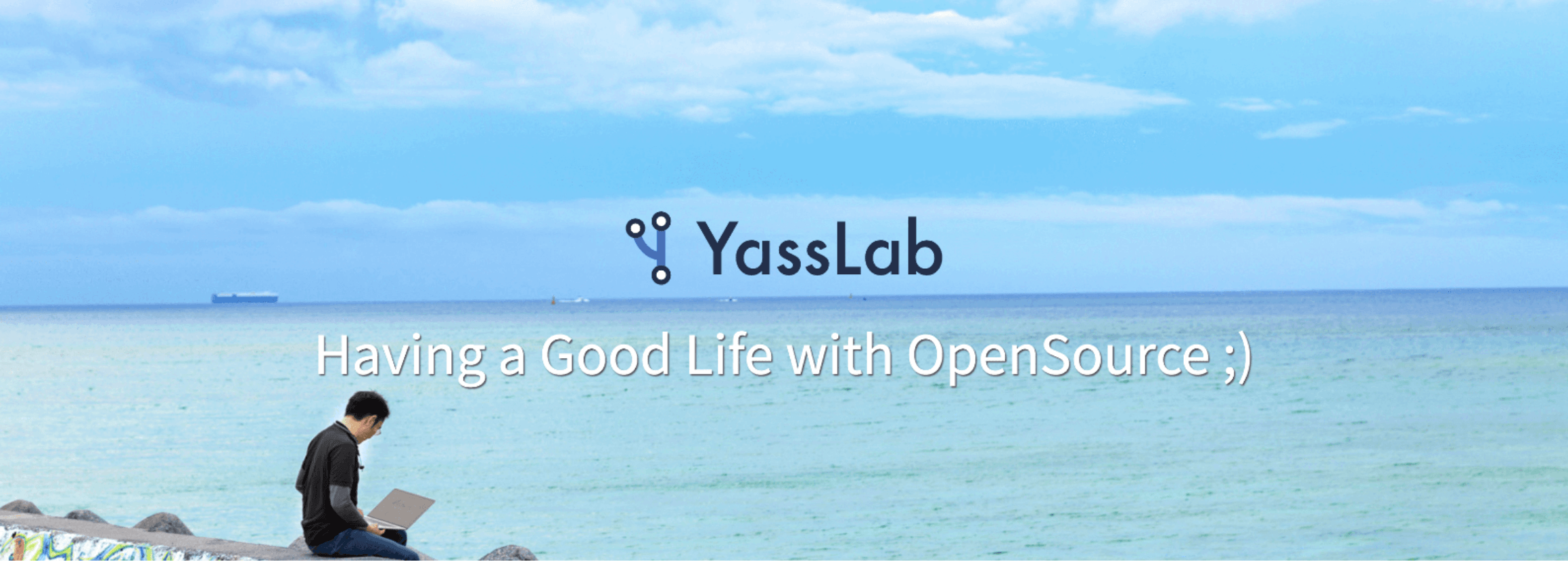 YassLab note
